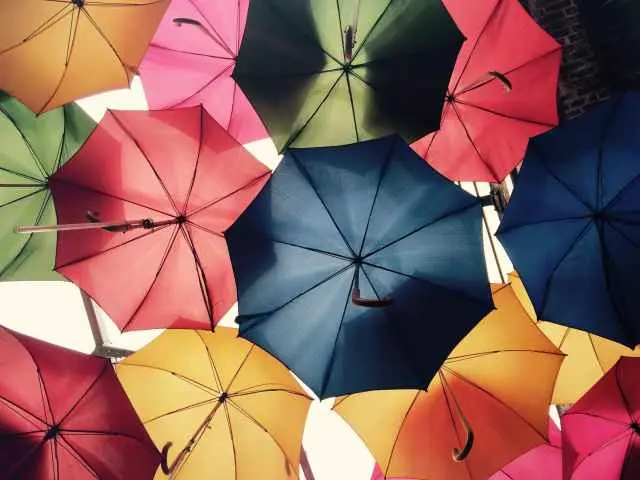 Contract Insurances – A Glance