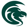 surveyors_ices__logo